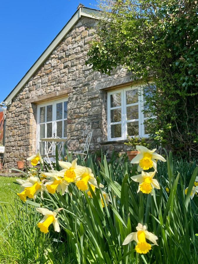 The Billiard Room - Cosy Country Retreat Abergavenny Luaran gambar